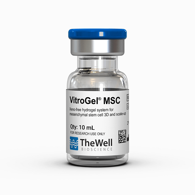 Stem Cells / Células madre